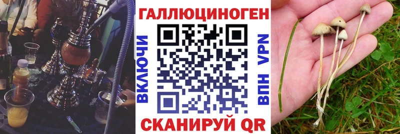 Галлюциногенные грибы прущие грибы  MEGA ONION  Долгопрудный 